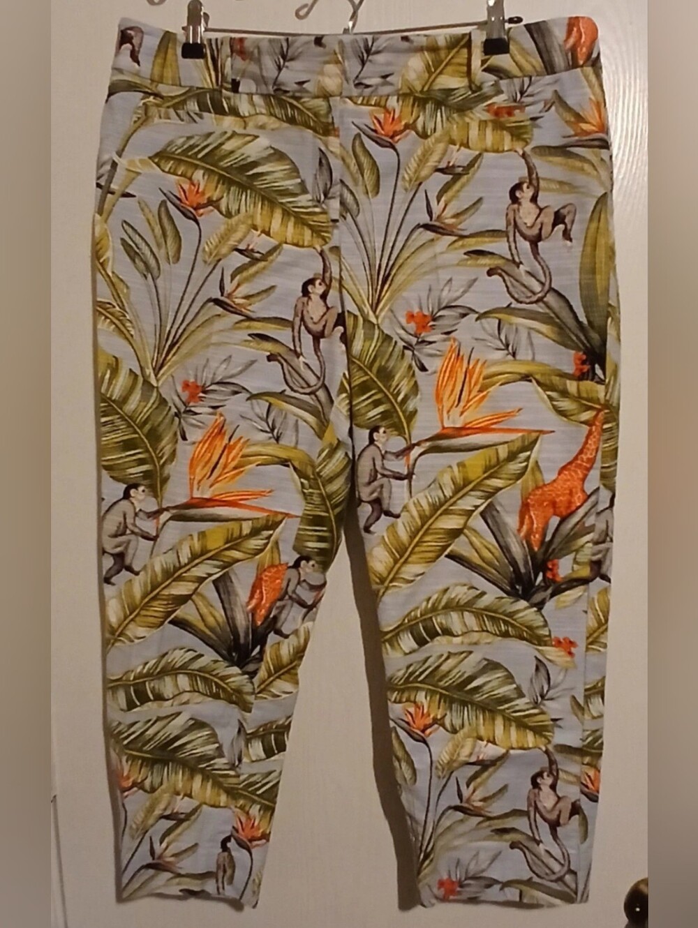 Anne Taylor Jungle Monkey Safari Party Fun Cruise Vacation Pants Woman's Size 14